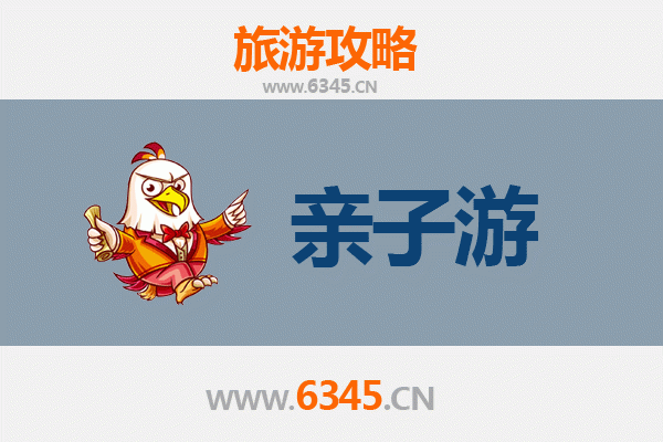 盐城东台亲子游攻略：探索自然与文化的家庭乐趣